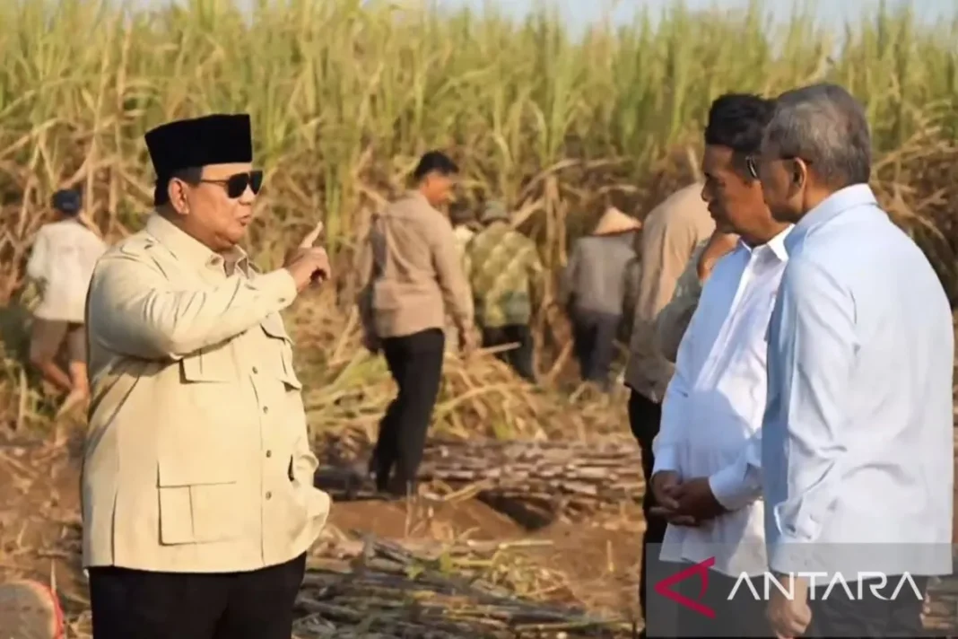 Presiden, Pemerintah kejar peremajaan tebu selesai dalam dua tahun