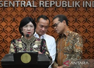 Profil Destry Damayanti yang kini jadi Pjs Gubernur Bank Indonesia