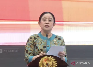 Puan: RI-India Punya Tanggung Jawab Bersama Jaga Stabilitas Kawasan