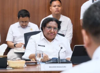 Wamendagri Dorong Pembangunan KPP Empat DOB Papua Masuk PSN