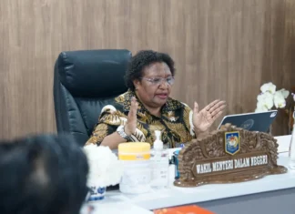Wamendagri Minta Penyaluran Dana Otsus Papua Terapkan Prinsip 5T