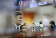 DPR: Penindakan “Pengantin Pesanan” Selamatkan Martabat Bangsa