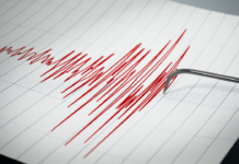Gempa M5,0 Guncang Timur Laut Ruteng NTT, BMKG Ungkap Lokasi dan Kedalamannya