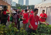 HUT ke-81,Kemenhut Sebar 17.845 Bibit Gratis dari Sabang hingga Merauke