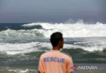 Ada 2 Bibit Siklon Tropis, BMKG: Waspada Ombak setinggi 4 Meter di RI