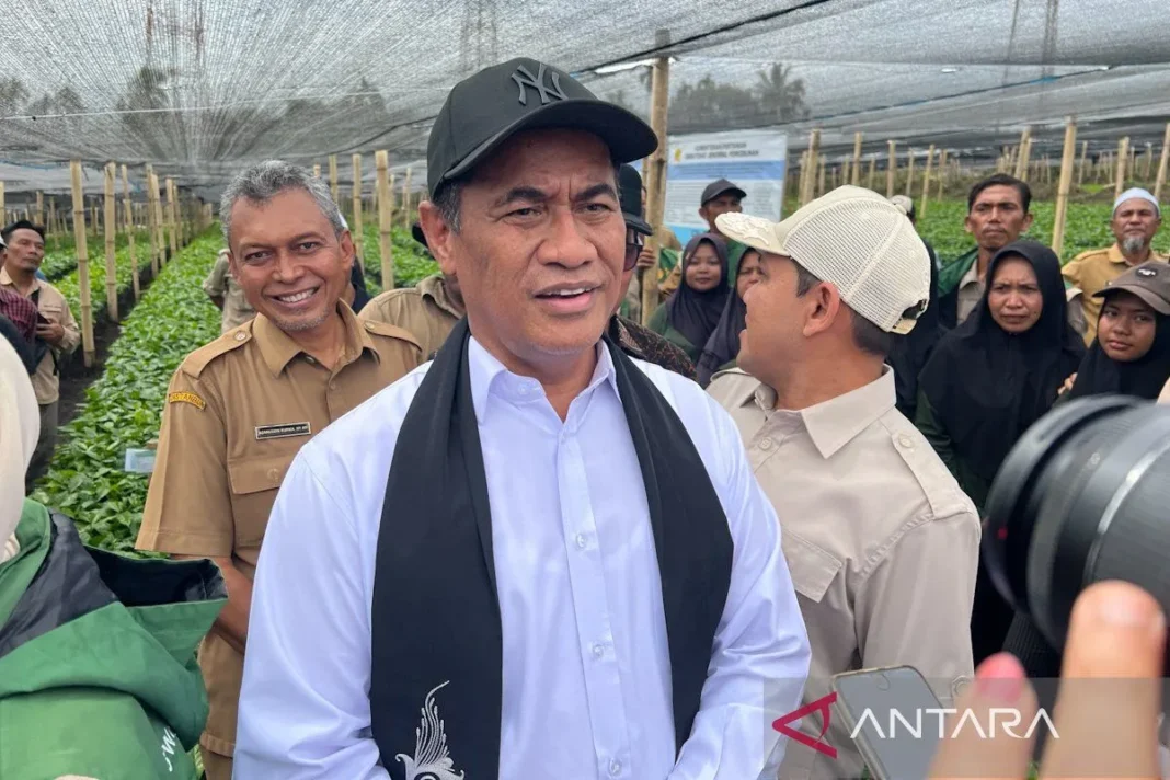 Kepala Bapanas, Stok beras Indonesia 5,1 juta ton, aman hadapi El Nino