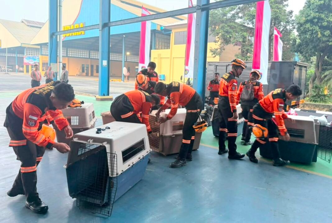 Percepat Evakuasi Korban Gempa NTT, Polisi Kerahkan 10 Anjing Pelacak