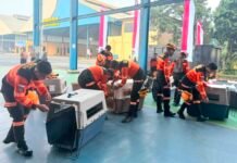 Percepat Evakuasi Korban Gempa NTT, Polisi Kerahkan 10 Anjing Pelacak