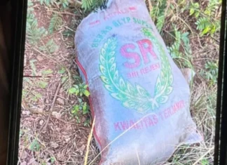 Polisi Dalami Dugaan Hubungan Sesama Jenis dalam Kasus Mutilasi di Depok