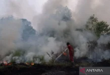 Polri Tetapkan 72 Tersangka Kasus Karhutla dari Sembilan Polda