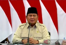 Prabowo Resmikan 3.395 Jembatan dan 3.000 Sumber Air Bersih