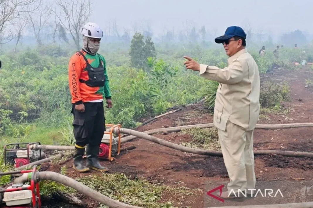 Prabowo susuri karhutla di Kubu Raya, pastikan penanganan optimal