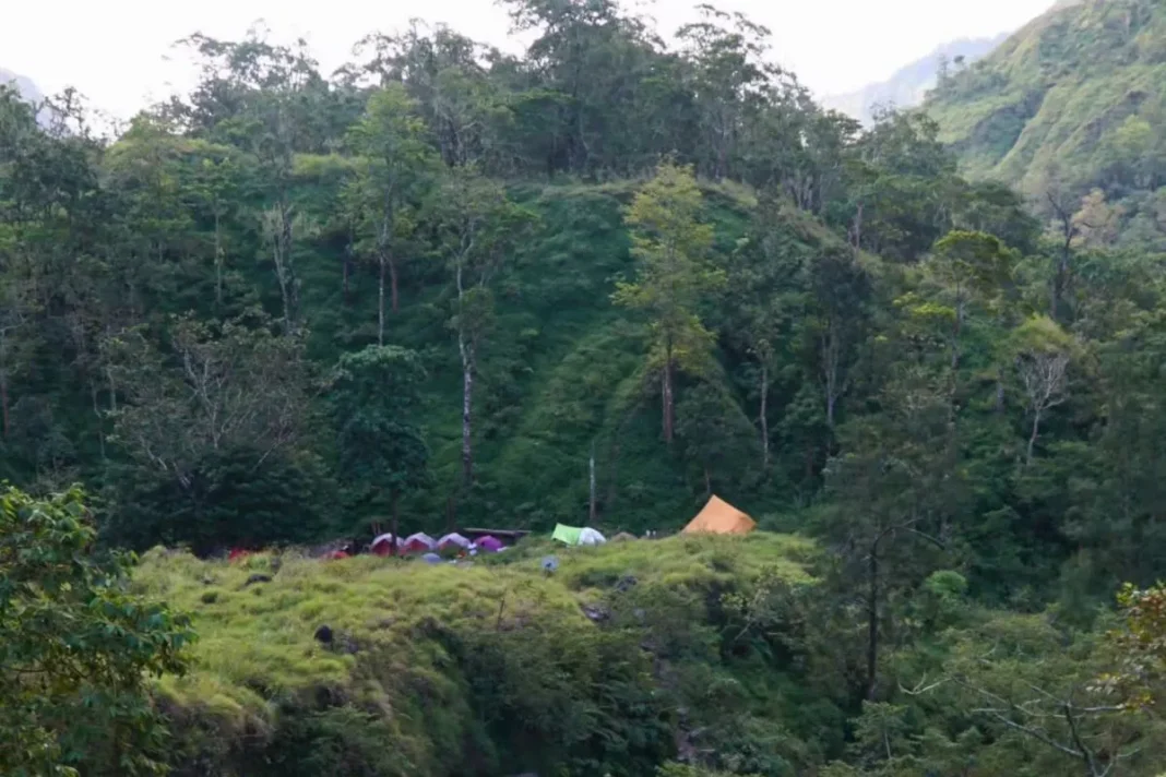 Tim gabungan padamkan kebakaran lahan di kawasan Sembalun Rinjani