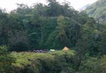 Tim Gabungan Diterjunkan Padamkan Kebakaran Lahan di Kawasan Gunung Rinjani