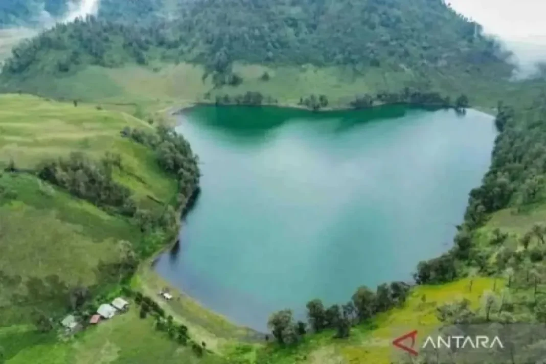 BB TNBTS sanksi blacklist delapan pendaki ilegal Gunung Semeru