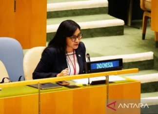 Indonesia Tolak Tudingan Dugaan Pelanggaran HAM Sistematis di Papua