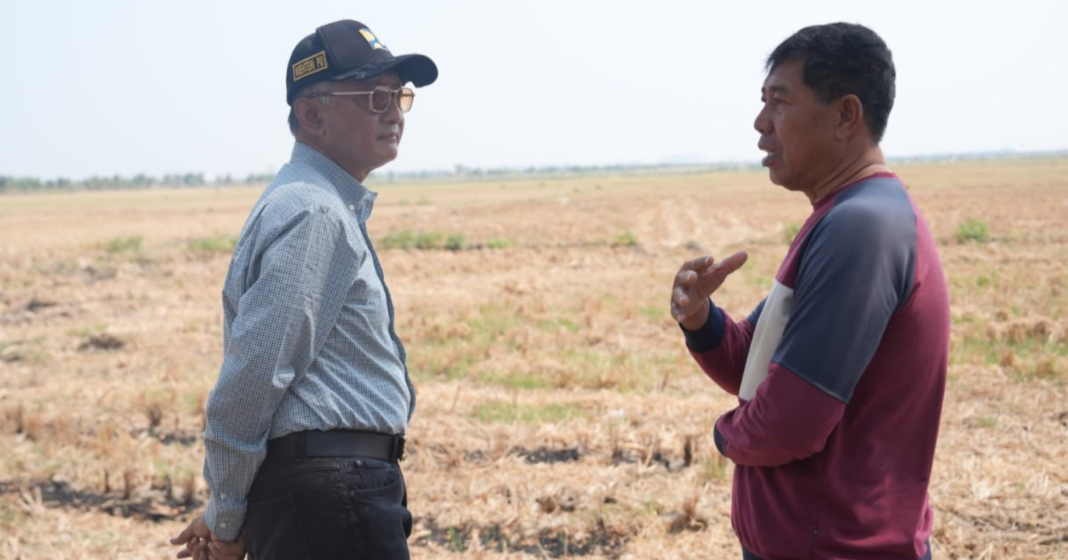 Kekeringan dan Rob Kepung Sawah Demak, 124 Hektare Terancam Gagal Panen