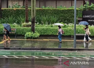 BMKG Prakirakan Hujan Ringan Mendominasi sejumlah Wilayah RI Hari ini