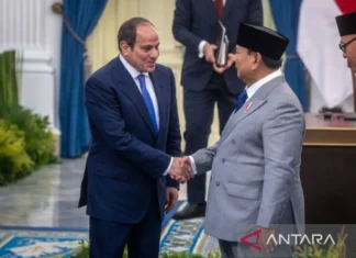 RI-Mesir Sepakat Perkuat Kerja Sama Berantas Penangkapan Ikan Ilegal