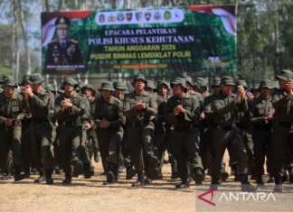 Tindak Lanjuti Arahan Presiden, Polri Siapkan Polisi Khusus Kehutanan